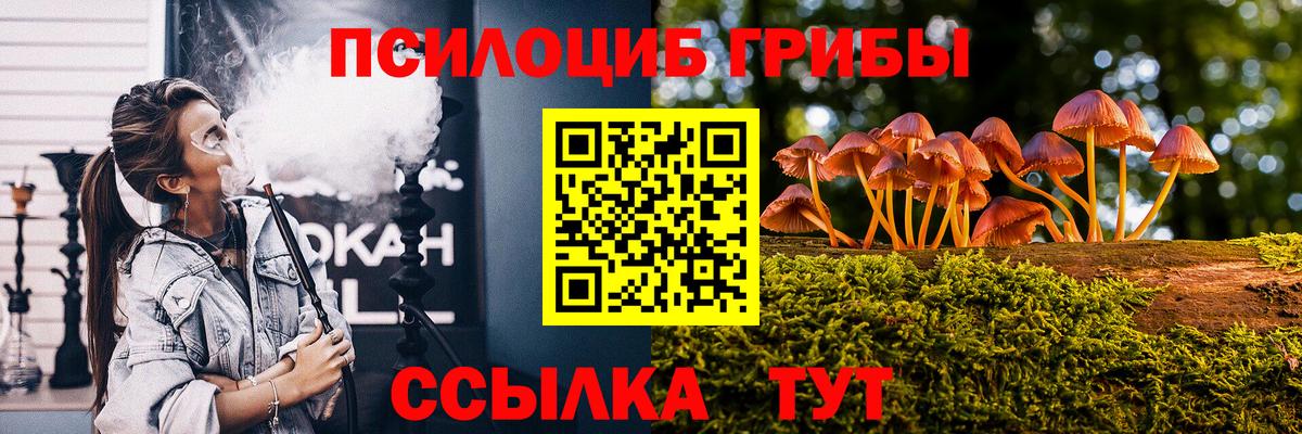 Ревда  Псилоцибиновые грибы Psilocybine cubensis  Псилоцибиновые грибы MAGIC MUSHROOMS  Вход с VPN 